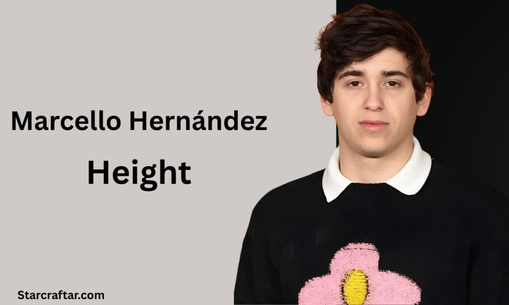 Marcello Hernández Height